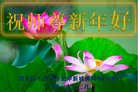 法轮功,黑龙江大法弟子恭祝师尊新年好(19条)