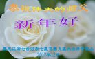 ֹ,󷨵ӹףʦ(19)