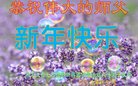 法轮功,黑龙江大法弟子恭祝师尊新年好(25条)