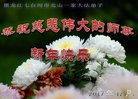 ֹ,󷨵ӹףʦ(25)