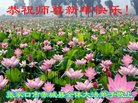 ֹ,żҿڴ󷨵ӹףʦ(22)