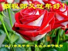 ֹ,㶫󷨵ӹףʦ(28)