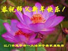 ֹ,㶫󷨵ӹףʦ(28)