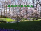 ֹ,㶫󷨵ӹףʦ(28)