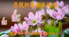 ֹ,󷨵ӹףʦ(23)