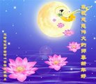 ֹ,󷨵ӹףʦ(22)