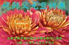 ֹ,󷨵ӹףʦ(19)