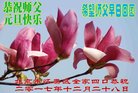ֹ,󷨵ӹףʦ(19)