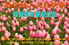 ֹ,󷨵ӹףʦ(19)