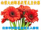 ֹ,󷨵ӹףʦ(19)