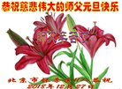 ֹ,󷨵ӹףʦ(19)