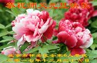 ֹ,󷨵ӹףʦ(19)