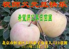 ֹ,󷨵ӹףʦ(19)