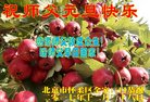ֹ,󷨵ӹףʦ(19)