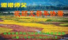 ֹ,󷨵ӹףʦ(21)