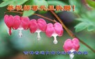 ֹ,ʡ󷨵ӹףʦ(25)
