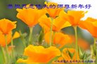 ֹ,ʯׯ󷨵ӹףʦ(21)