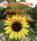 ֹ,󷨵ӹףʦ(23)