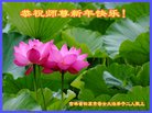 ֹ,ʡ󷨵ӹףʦ(25)