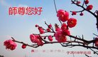 ֹ,ɳ󷨵ӹףʦ(23)