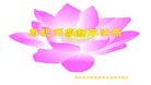 ֹ,󷨵ӹףʦ(28)