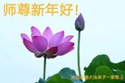 ֹ,ӱ󷨵ӹףʦ(29)