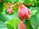 ֹ,󷨵ӹףʦ(28)