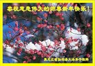 ֹ,󷨵ӹףʦ(23)