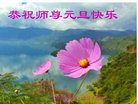 ֹ,ʡ󷨵ӹףʦ(25)