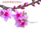 ֹ,󷨵ӹףʦ(27)