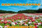 ֹ,󷨵ӹףʦ(26)