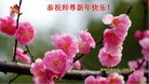 ֹ,ӱ󷨵ӹףʦ(26)