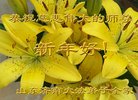 ֹ,ϴ󷨵ӹףʦ(24)