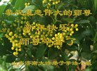 ֹ,ϴ󷨵ӹףʦ(24)