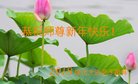 ֹ,󷨵ӹףʦ(23)