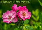 ֹ,󷨵ӹףʦ(22)