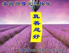 ֹ,Ĵ󷨵ӹףʦ(24)