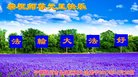 ֹ,Ĵ󷨵ӹףʦ(24)