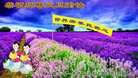 ֹ,Ĵ󷨵ӹףʦ(24)