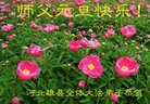 ֹ,󷨵ӹףʦ(27)