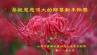 ֹ,ϴ󷨵ӹףʦ(29)