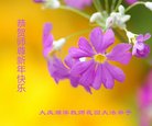 ֹ,󷨵ӹףʦ(24)