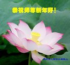 法轮功,郑州大法弟子恭祝师尊新年好(28条)
