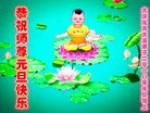 ֹ,󷨵ӹףʦ(24)