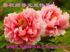 ֹ,֣ݴ󷨵ӹףʦ(28)