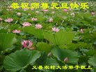 ֹ,ݴ󷨵ӹףʦ(23)