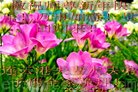ֹ,մ󷨵ӹףʦ(27)