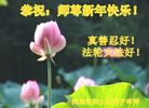 ֹ,ϴ󷨵ӹףʦ(29)