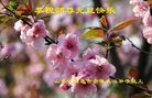 ֹ,Ϋ󷨵ӹףʦ(27)