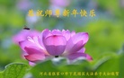 ֹ,żҿڴ󷨵ӹףʦ(23)